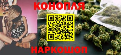 шишки Нальчик