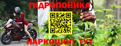 шишки Нальчик