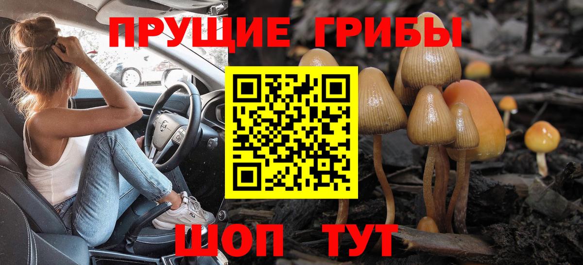 Галлюциногенные грибы Magic Shrooms Туймазы