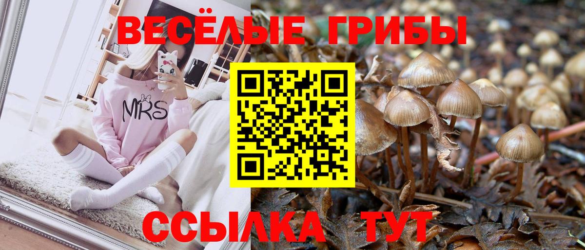 Псилоцибиновые грибы Psilocybe  купить наркотики цена  Туймазы  Вход с VPN 